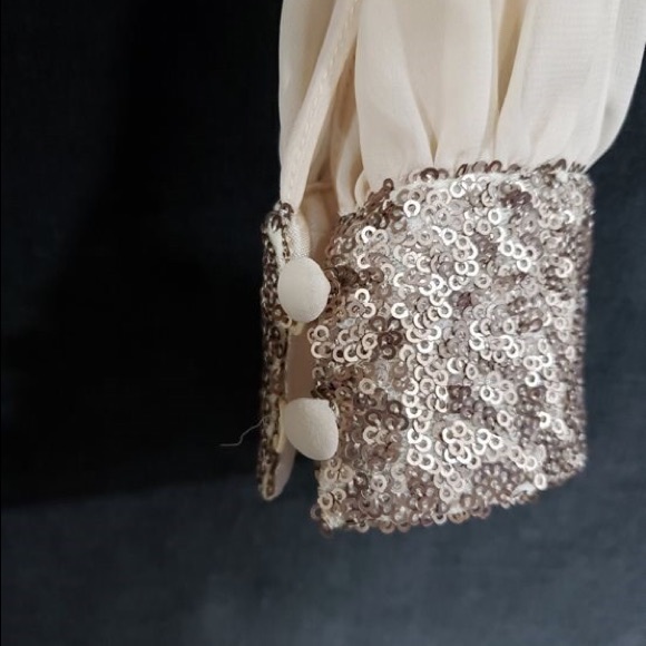 NWT Cache dress with sequins. Size 2. Gorgeous - Picture 5 of 6